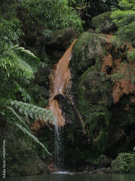 Obraz Caldeira Velha - Azores