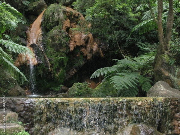 Obraz Caldeira Velha - Azores