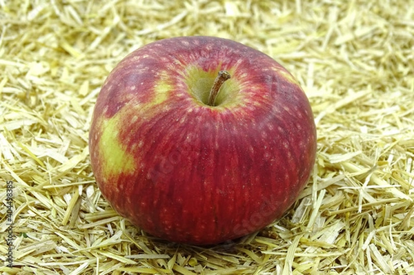 Fototapeta  Organic red apples. An apple is an edible fruit produced by an apple tree (Malus domestica). Apple trees are cultivated worldwide and are the most widely grown species in the genus Malus. 