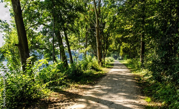Fototapeta Netherlands, Goes. Lake landscape : the path that runs along the perimeter of the lake is surrounded by the foliage of the trees, you can see the water. Concept of nature and relaxation.