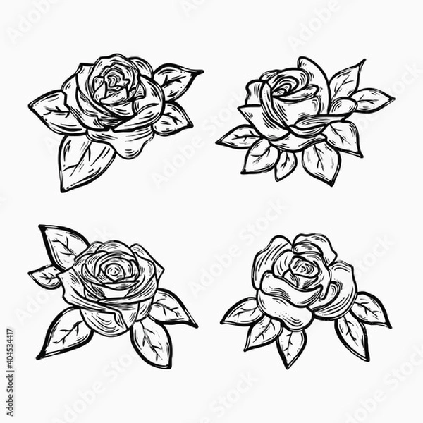 Fototapeta Set of rose vector