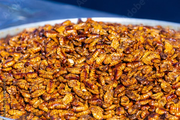 Fototapeta 韓国のおやつポンテギ