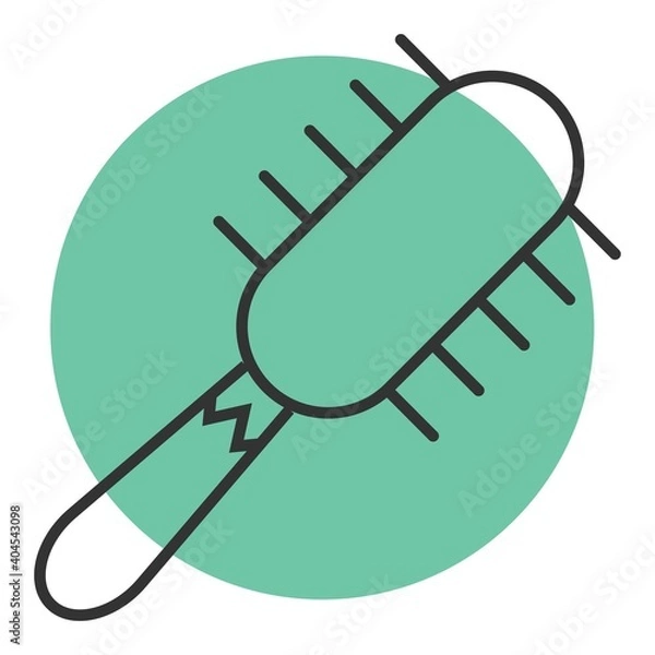 Obraz hair brush or comb icon vector