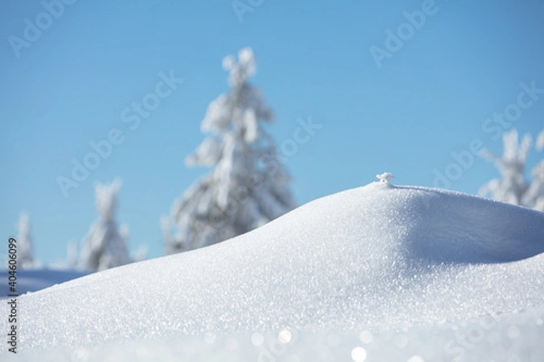 Obraz Schwarzwald Winter