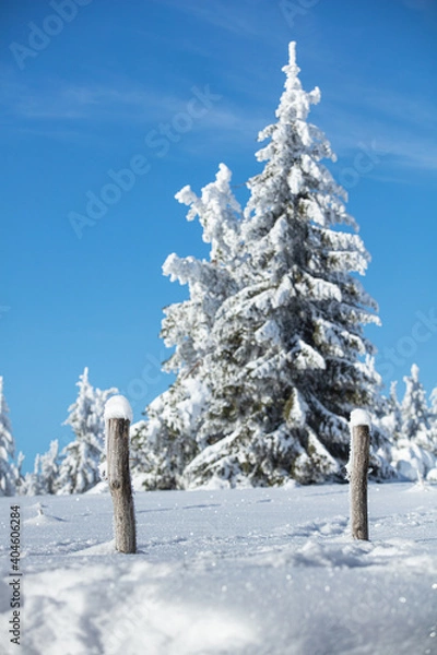 Obraz Schwarzwald Winter