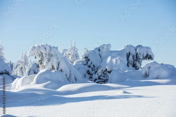 Obraz Schwarzwald Winter