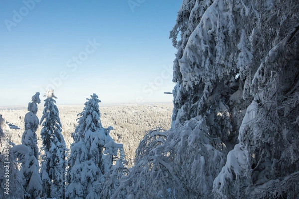 Obraz Schwarzwald Winter