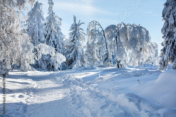 Obraz Schwarzwald Winter