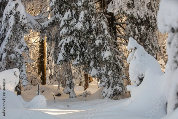 Obraz Schwarzwald Winter