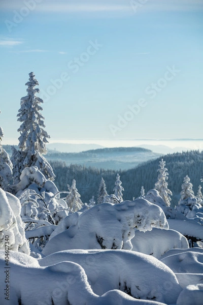 Obraz Schwarzwald Winter