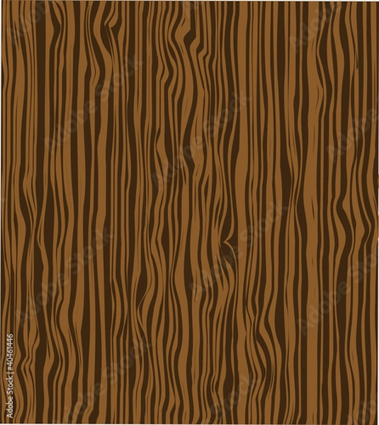 Obraz nature texture abstract old oak