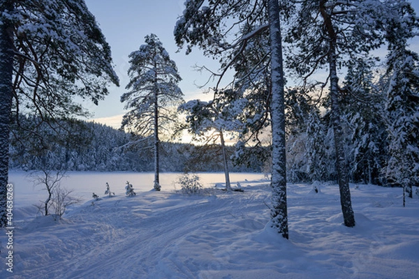 Obraz Cross country skiing in Norway is very popular. This is the tracks and slopes in Oslo, just a  short distance from downtown. The place is called Nordmarka or Oslomarka. 