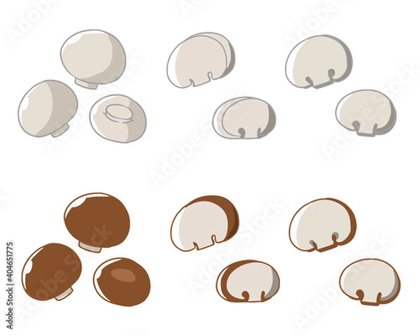 Fototapeta マッシュルーム　線無し