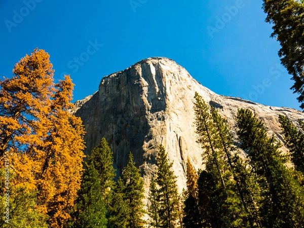 Fototapeta Yosemite Valley