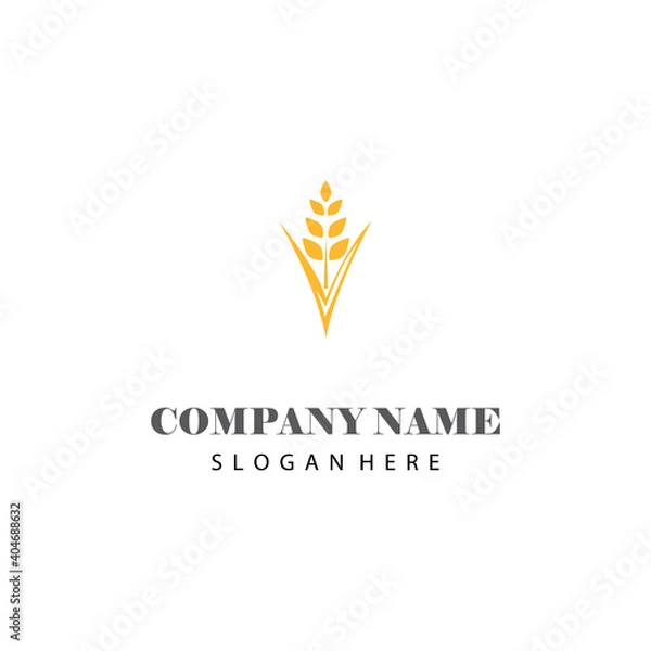Obraz Wheat Logo Template vector symbol nature