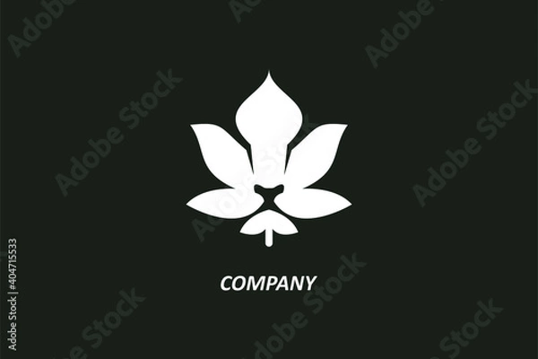 Fototapeta lion leaf logo design template use green color in icon and black in text isolated on white background