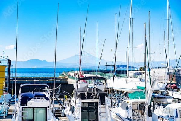 Fototapeta 神奈川県葉山のヨットハーバーから見る富士山