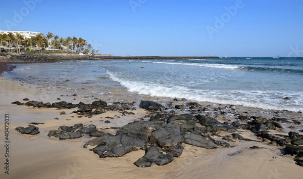 Obraz Lanzarote's typical beach with palm trees