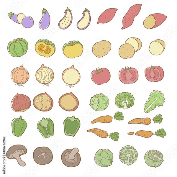 Fototapeta 野菜の手描きカラーベクター線画セット