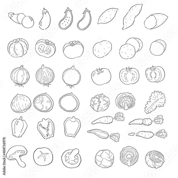 Fototapeta 野菜の手描きベクター線画セット