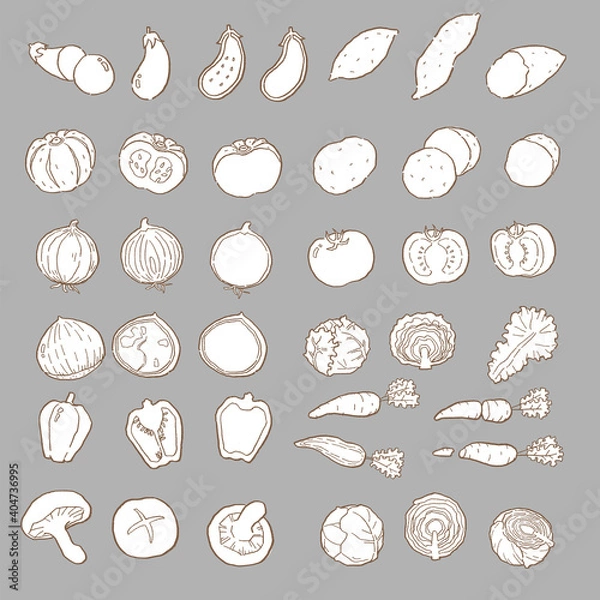 Fototapeta 野菜の手描き線画ベクターイラストセット