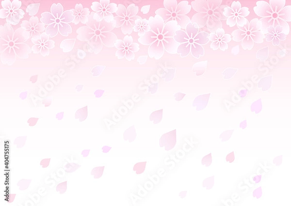 Fototapeta 和風カラーのふんわり桜背景イラスト素材