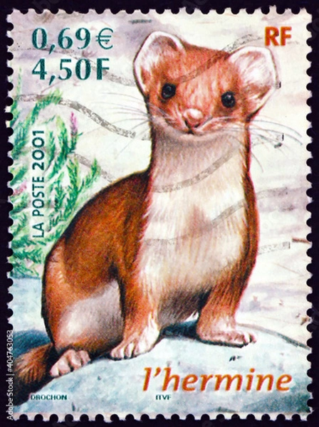 Obraz Postage stamp France 2001 short-tailed weasel