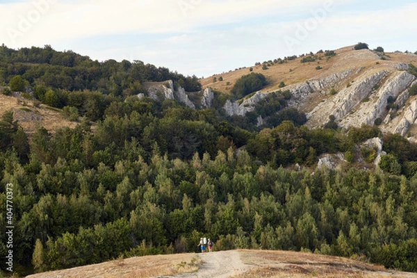 Fototapeta road with tourists going into the mountains with a forest