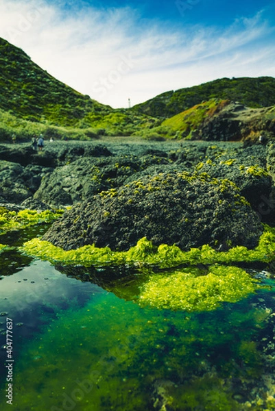 Fototapeta Cape Schanck Lighthouse