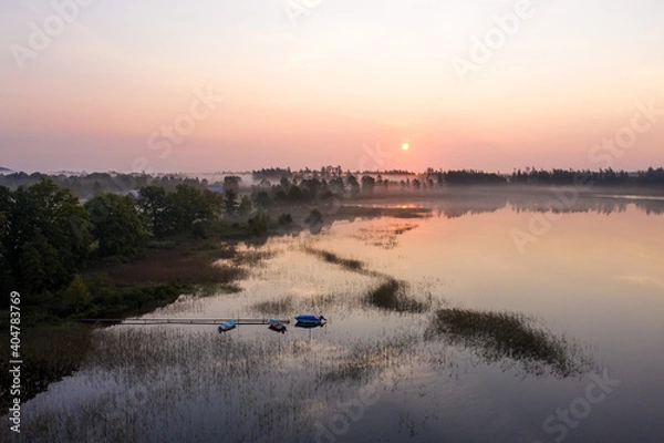 Obraz Nebel Schweden Wald