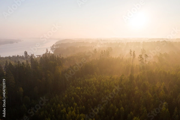 Obraz Nebel Schweden Wald