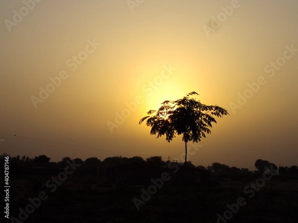 Obraz sunset with silhouette