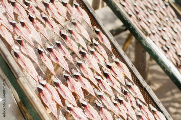 Obraz Peixe a secar ao sol