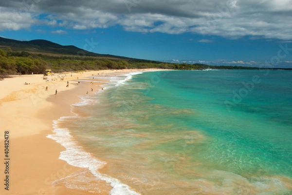 Obraz Big Beach on Maui Hawaii Island