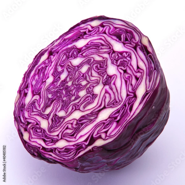 Obraz red cabbage isolated on white background