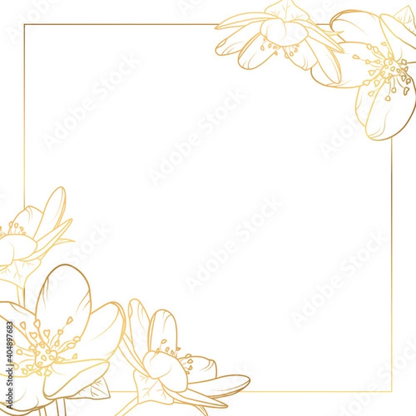 Obraz Cherry sakura flowers bloom blossom. Square card border frame template decoration. Luxury shiny golden glow outline.