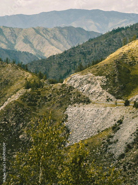 Obraz OLYMPUS DIGITAL CAMERA