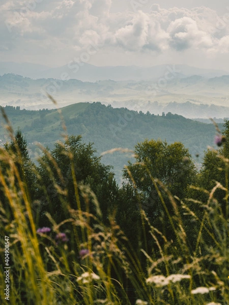 Obraz OLYMPUS DIGITAL CAMERA