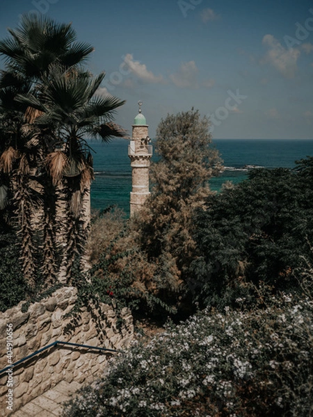 Obraz OLYMPUS DIGITAL CAMERA