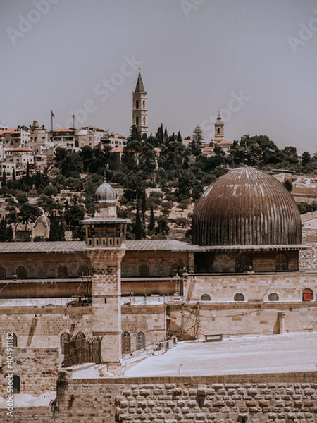 Obraz OLYMPUS DIGITAL CAMERA