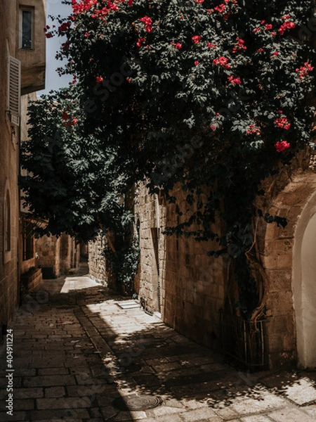 Obraz OLYMPUS DIGITAL CAMERA