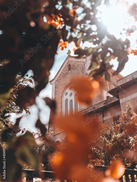 Obraz OLYMPUS DIGITAL CAMERA