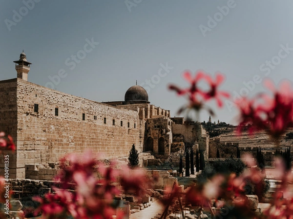 Obraz OLYMPUS DIGITAL CAMERA