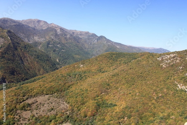 Obraz autumn in forest