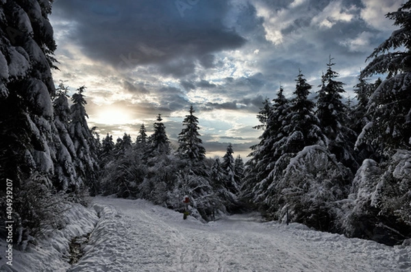 Obraz Lacaune dans le Tarn
