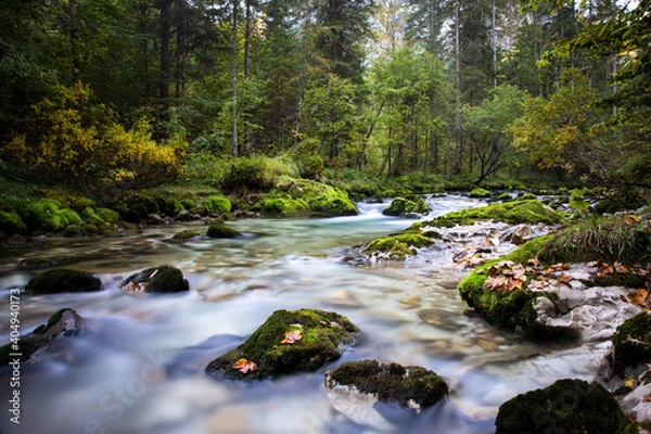 Obraz Mountain river in Australin Alps. Autumn forest.