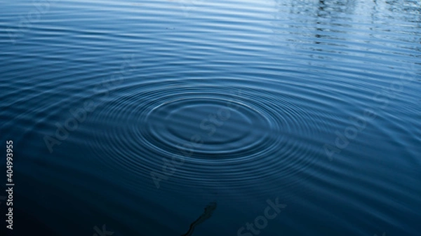 Obraz ripples in blue water