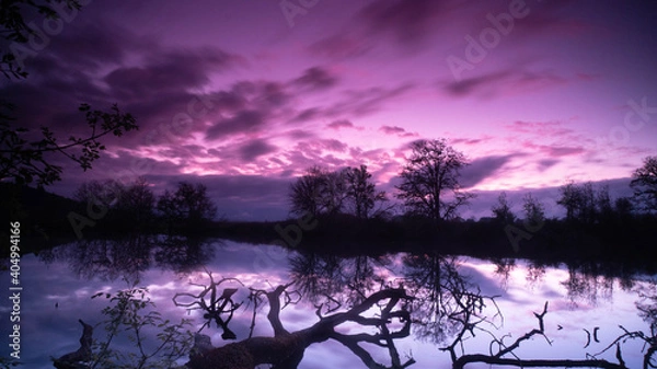Obraz tree in purple lake