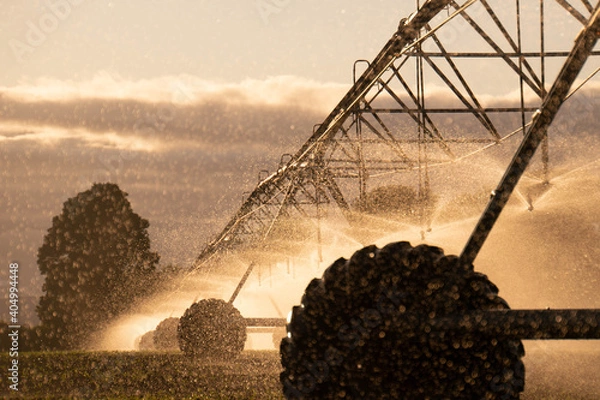 Obraz fantastic linear move