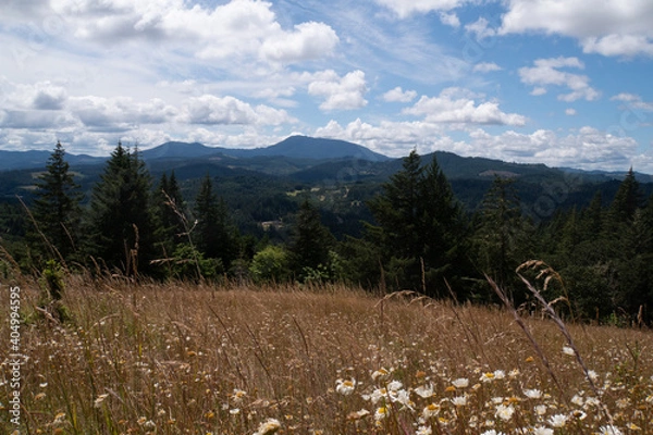 Obraz Fitton Green and Mary's peak